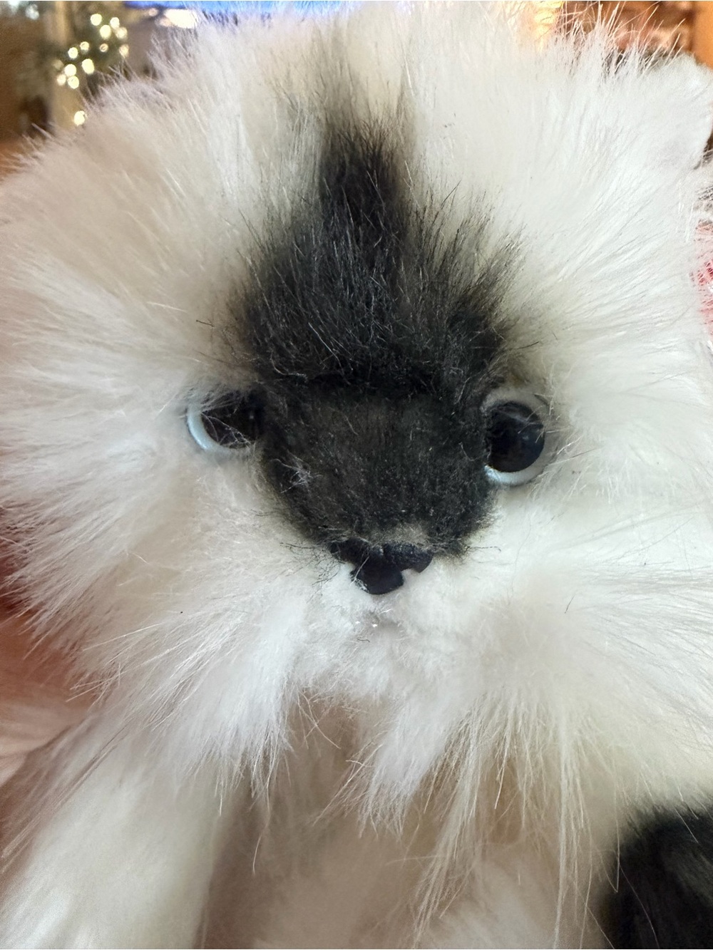 Ty Classic White and Black Plush Himalayan cat ANGEL